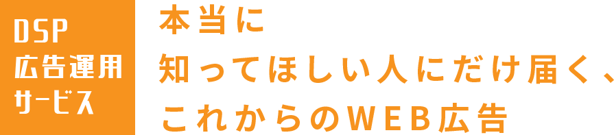 DSP広告運用サービス｜本当に知ってほしい人にだけ届く、これからのWEB広告